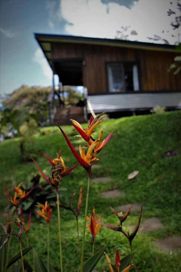 The Lodge At Reventazon River Mountain Ranch トゥリアルバ エクステリア 写真